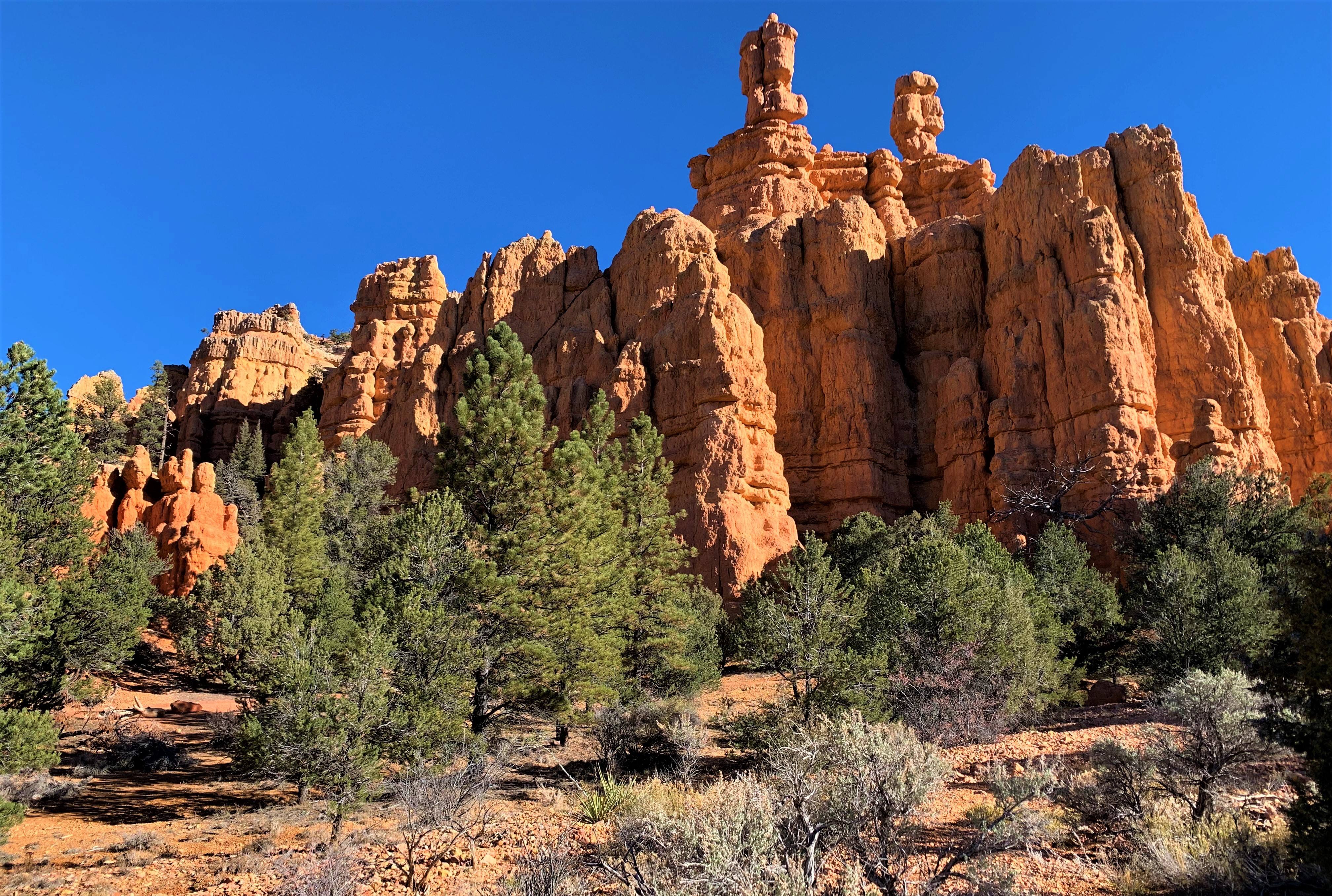 Red Canyon